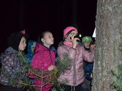 Zielona szkola Janow 2017 (48)